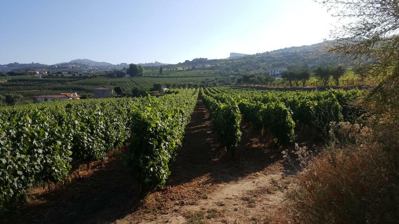Quinta Do Acipreste Ламегу Экстерьер фото