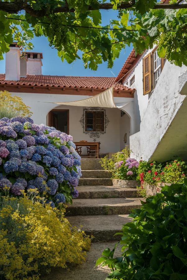 Quinta Do Acipreste Ламегу Экстерьер фото